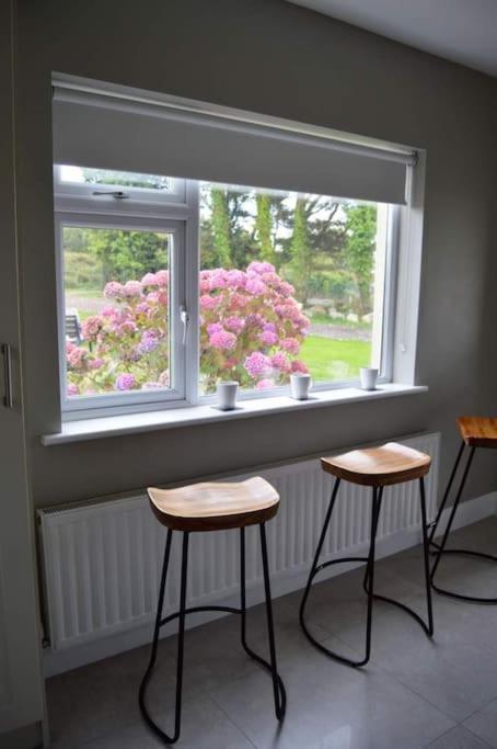 Twin Lake View - Bungalow In Pontoon Foxford Eksteriør bilde