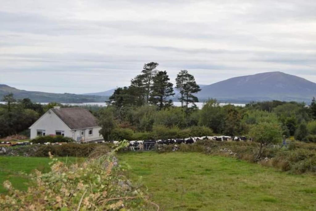 Twin Lake View - Bungalow In Pontoon Foxford Eksteriør bilde
